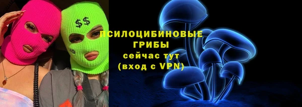 тгк Осташков