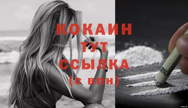 бошки Болотное