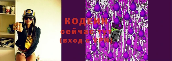 тгк Осташков